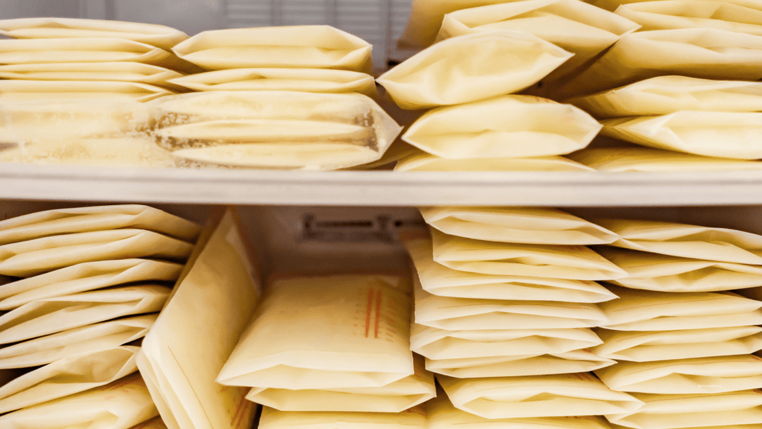 How to Pack Like a Pro: Making Breast Milk Bricks & Prepping for Your Shipping Kit