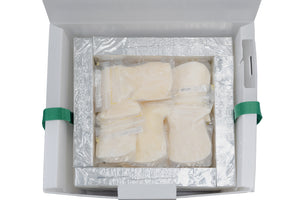 Breast Milk Freeze-Drying Service